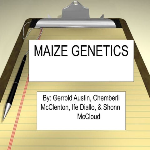Maize genetics power point presentation.