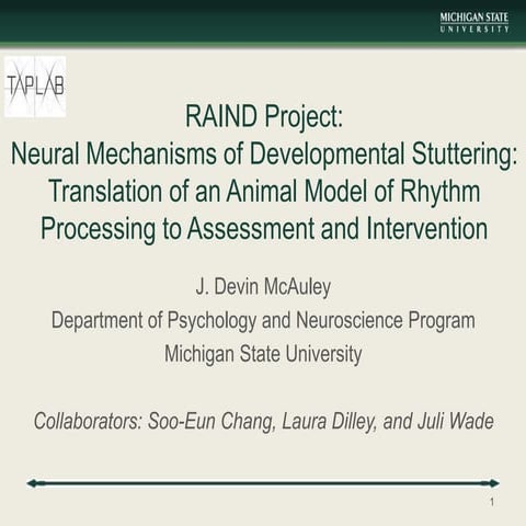 RAIND Project:Neural Mechanisms of Developmental Stuttering: Translation of ...