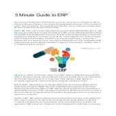 5 minute guide to erp