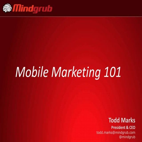 Mobile Marketing 101
