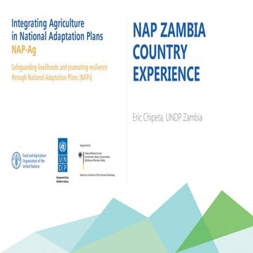 National Adaptation Plan Zambia Country Experience
