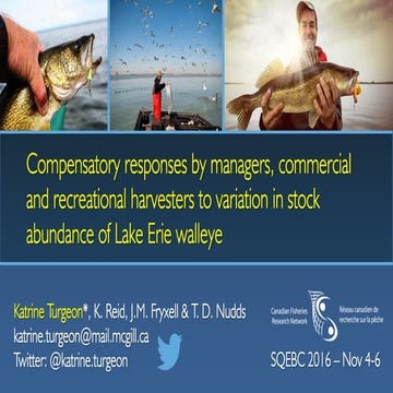Katrine Turgeon - SQEBC 2016 - Compensatory responses by managers, commercial...