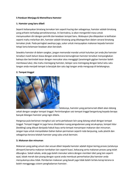 Panduan Menjaga Tenaga Badan Seharian