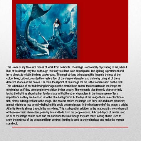 5 photographer annie