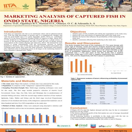 5  poster taiwo oludare