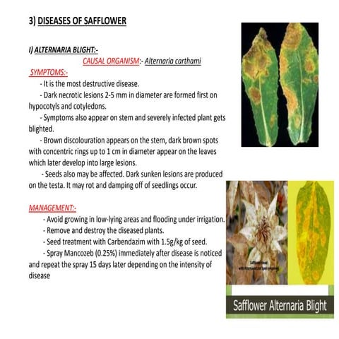 SAFFlOWER DISEASES