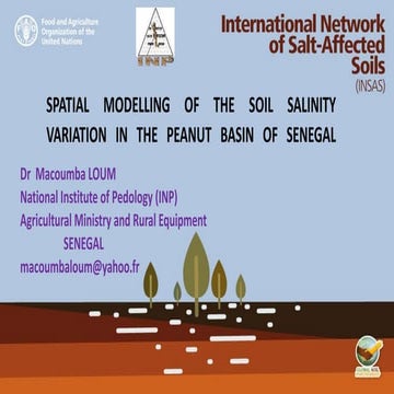 The status of salt-affected soils and spatial modelling of the soil salinity ...