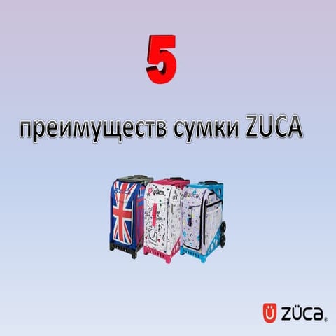 5 преимуществ сумки ZUCA