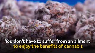 Why Should Someone Try Recreational Cannabis?