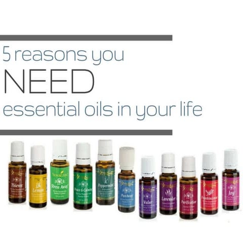 5 reasons you need essential oils in your life