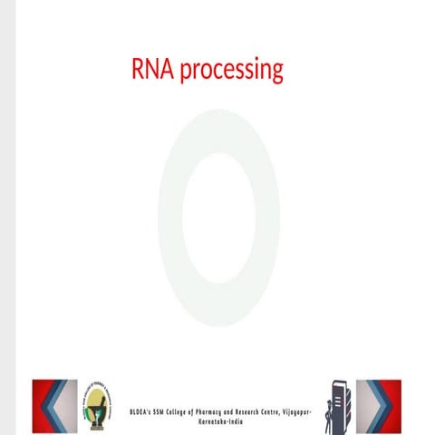 Rna Processing Rna Synthesis Pptx Rna Functions In Rna Processing Pptx