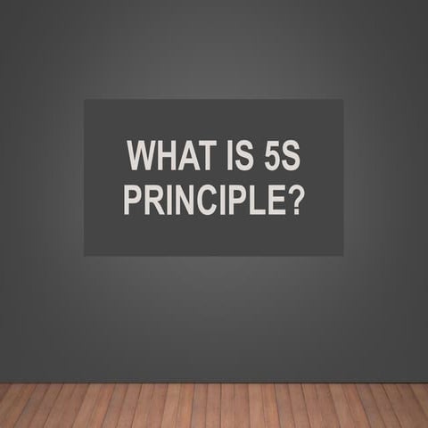 5S.pptx