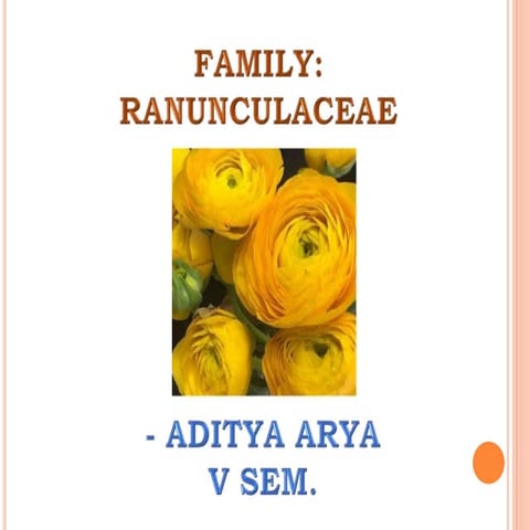 Family: Ranunculaceae (Ranunculus,Delphinium)