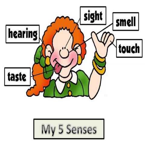 ASL basics | PPTX