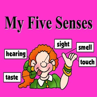 5 senses