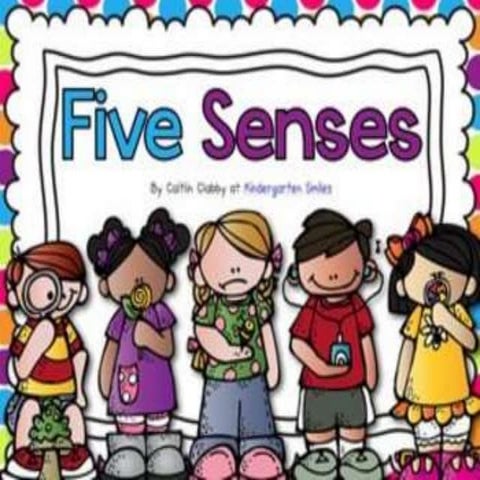 5 senses 
