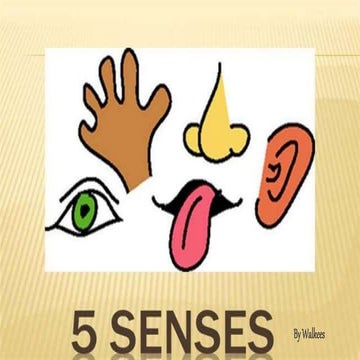 ESL Lesson: Five Senses | PPTX