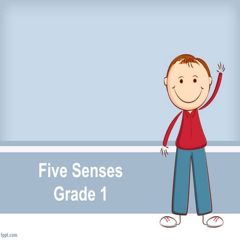 5 senses grade 1