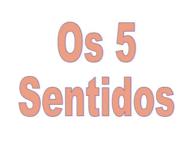 5 sentidos