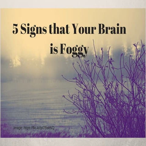 5 signs that your brain is foggy