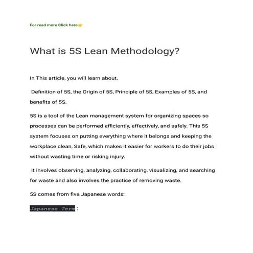 5 S Lean.pdf