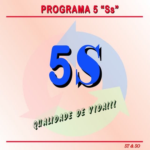 5 s programa de qualidade