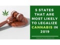 5 states that are most likely to legalize cannabis in 2019