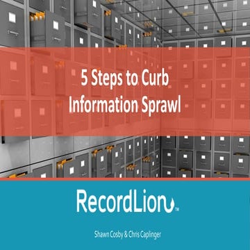 5 Steps to Curb Information Sprawl