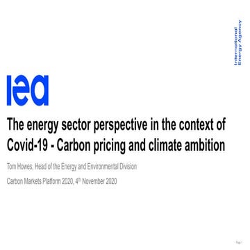 The energy sector perspective in the context of Covid-19 carbon pricing and c...