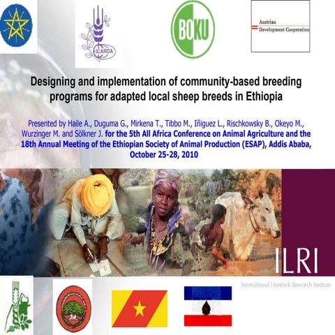 Designing and implementation of community-based breeding programs for adapted...