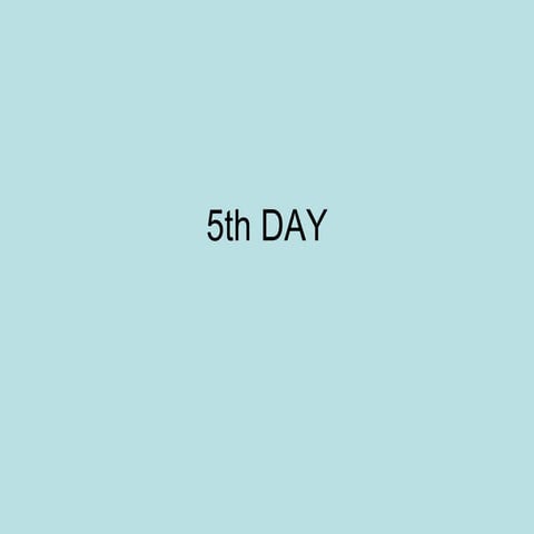 5th day