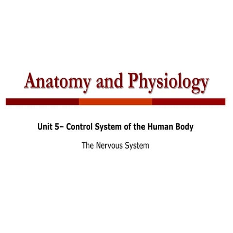 5) The Nervous System.pdf and anatomy ok