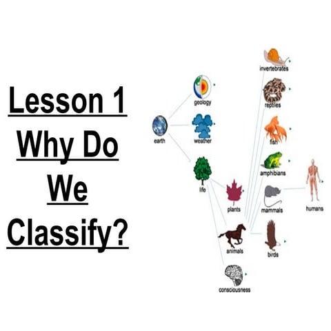 Short answers | PPT