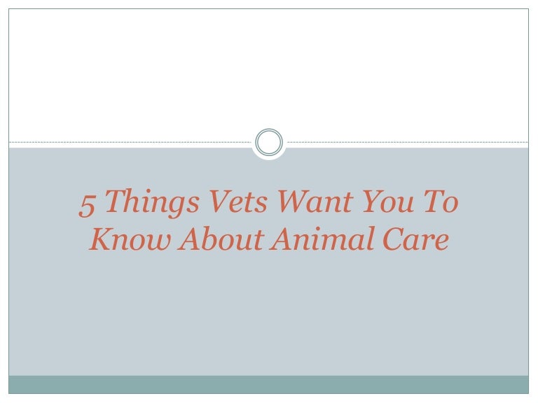 5 things vets want you to know about animal care