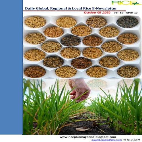 5th october,2020 daily global regional local rice e newsletter