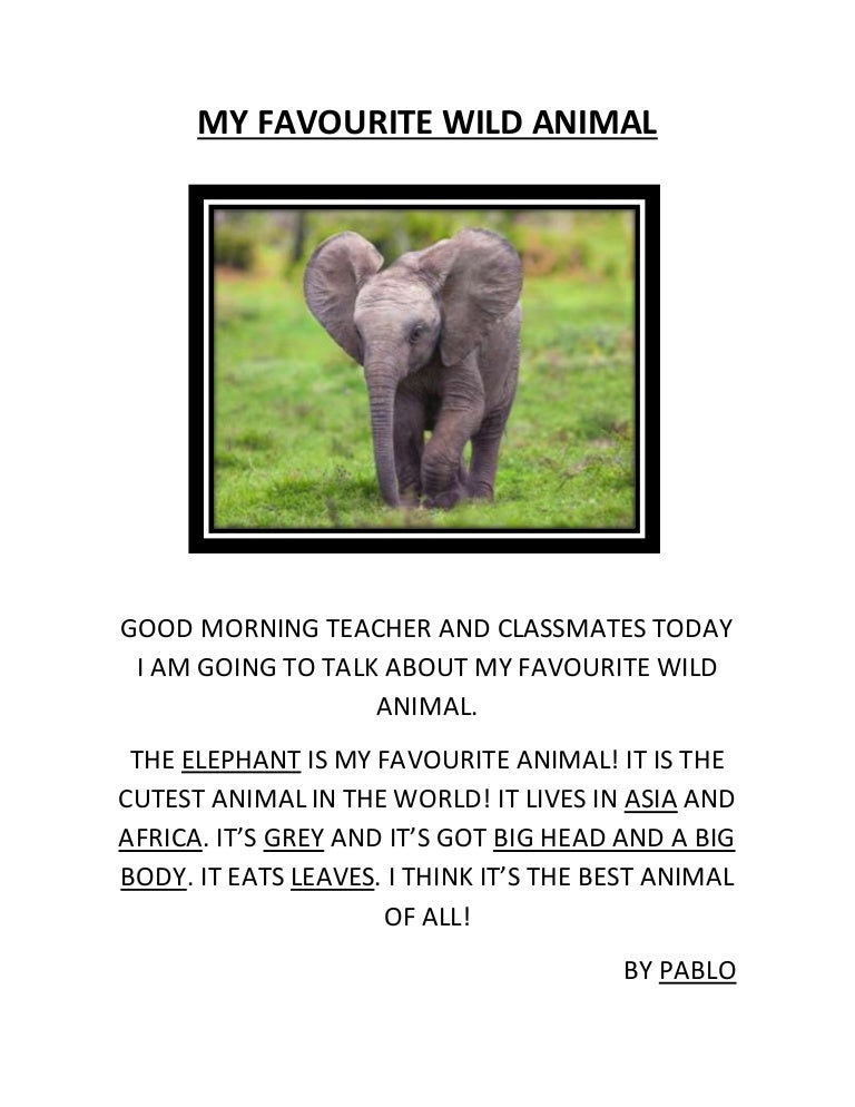 My favourite wild animal elephant essay picture