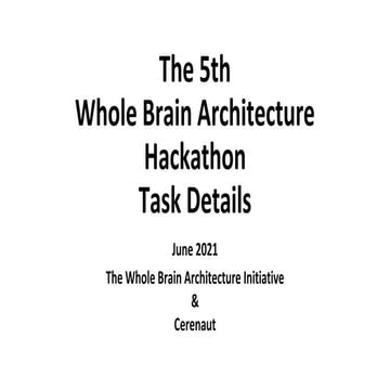 Task Details of the 5th Whole Brain Architecture Hackathon