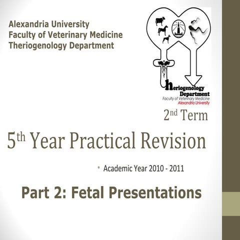 5th year practical revision   fetal presentations