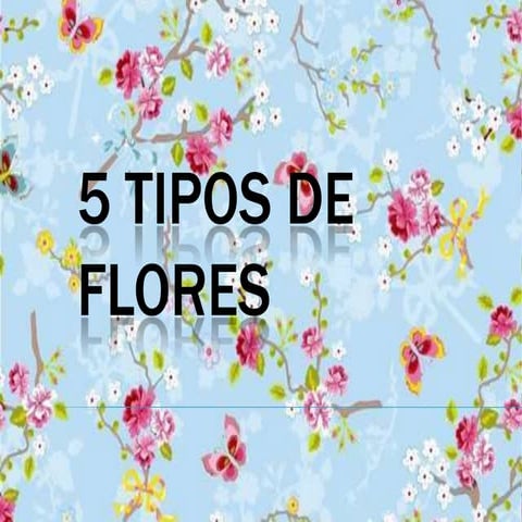 5 tipos de flores