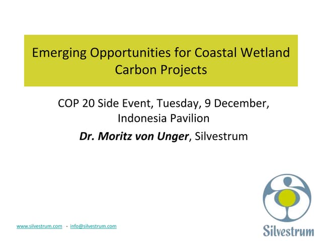 Emerging Opportunities for Coastal Wetland Carbon Projects 
