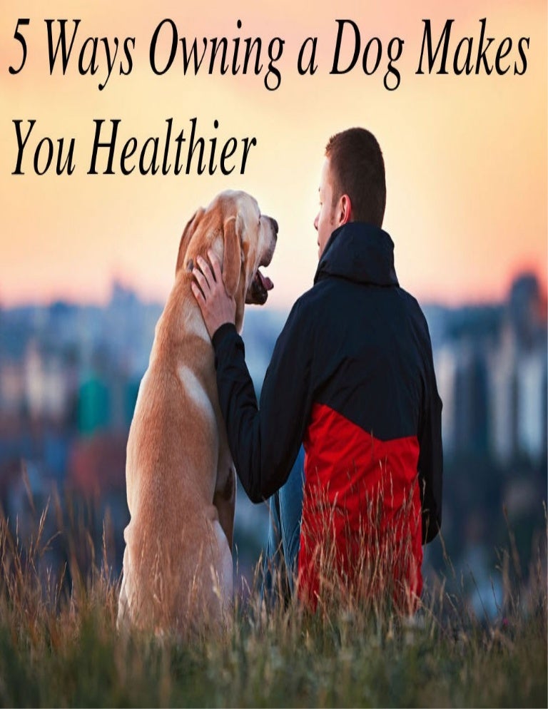 5 ways owning a dog makes you healthier