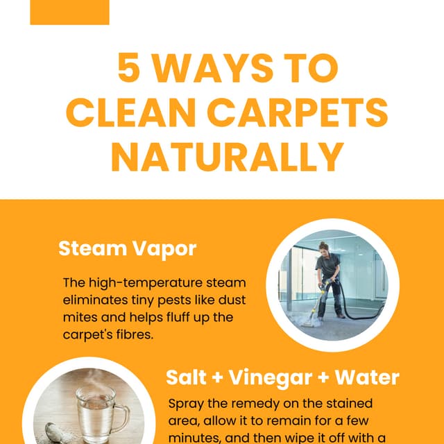 5 Ways to Clean Carpets Naturally PDF