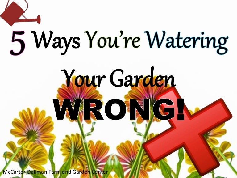 5 Ways You're Watering Your Garden Wrong!
