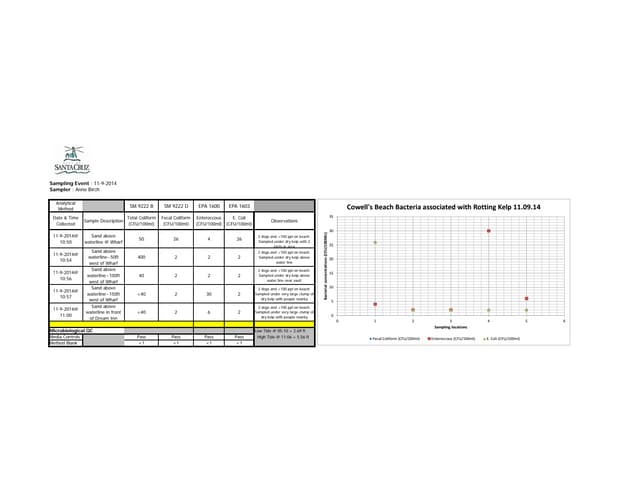 5 week cowell's beach soil kelp bac...