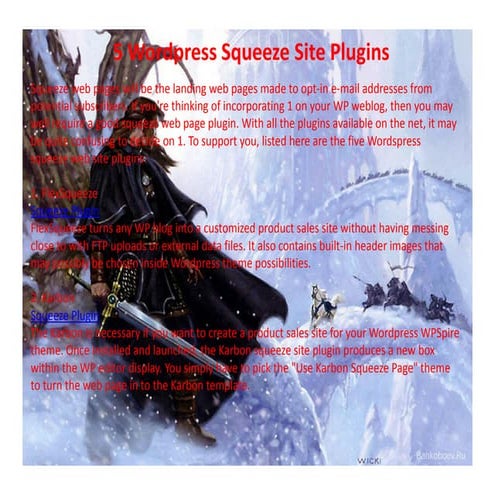 5 wordpress squeeze site plugins