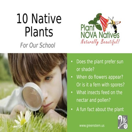 10 Native Plants for Our School 5 x 7 inch Signs by Mary Van Dyke