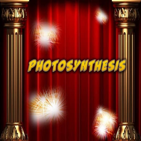 Photosynthesis (form 4 biology)