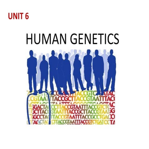 6.human genetics