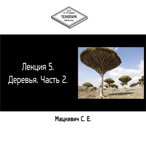 Алгоритмы и структуры данных осень 2013 лекция 6