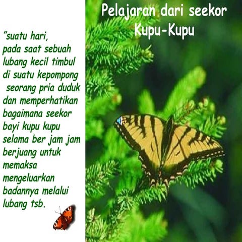 Motivasi Kupu kupu